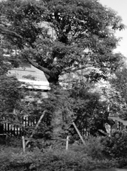 万年注册公司